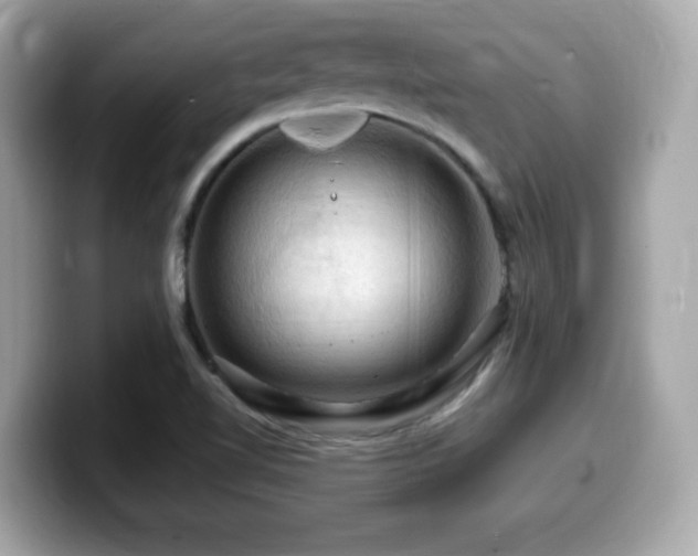 X0000099951510200805231311