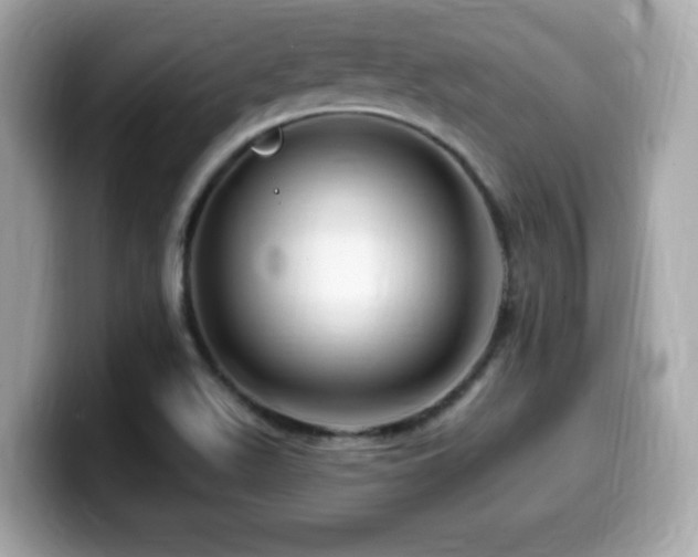 X0000099951511200805231311