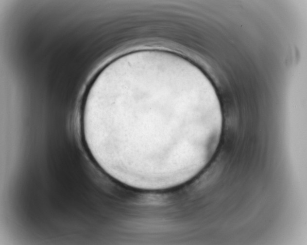 X0000099951514200805231311