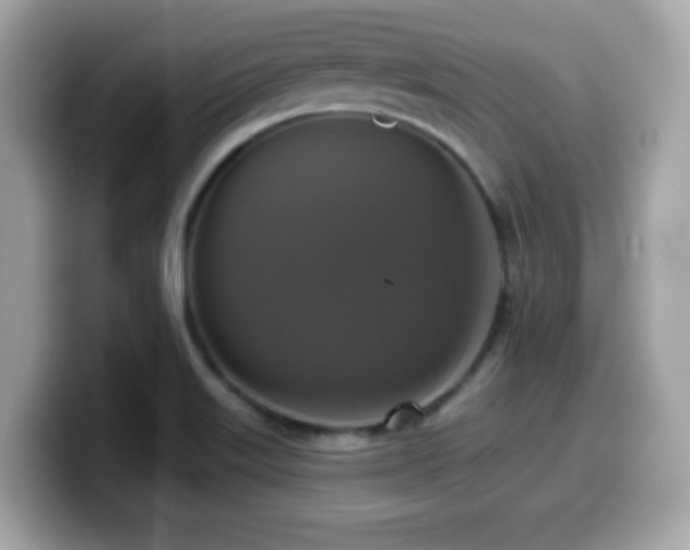 X0000099951515200805231311