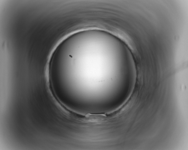 X0000099951516200805231311