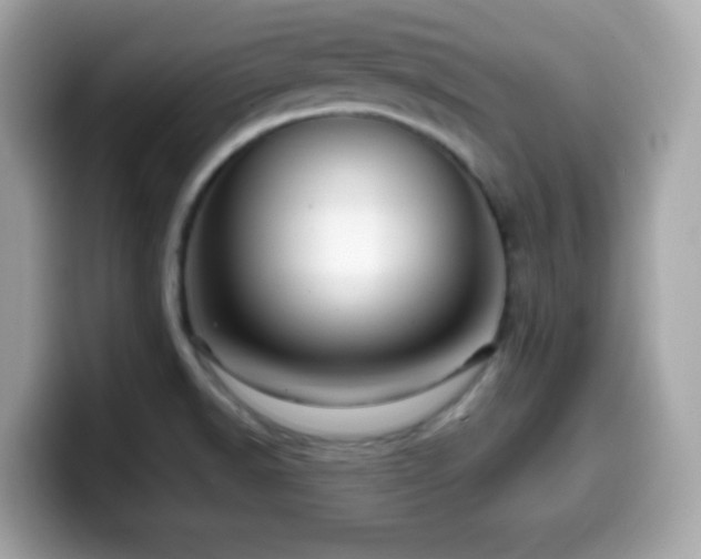 X0000099951518200805231311