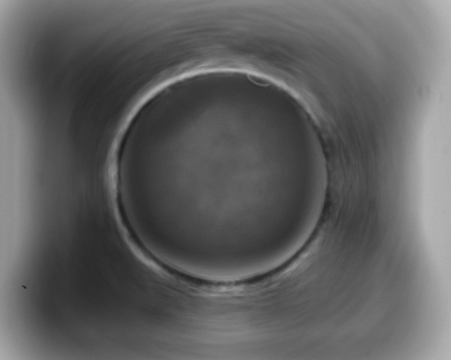 X0000099951519200805231311