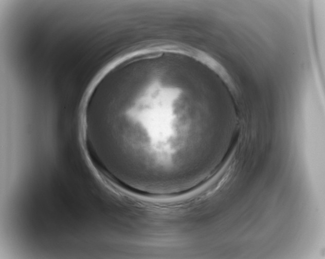 X0000099951520200805231311
