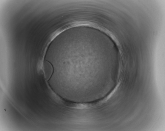X0000099951521200805231311