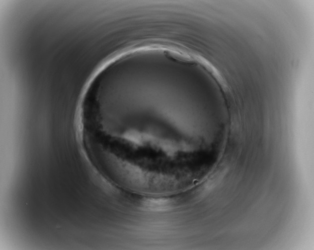X0000099951522200805231311