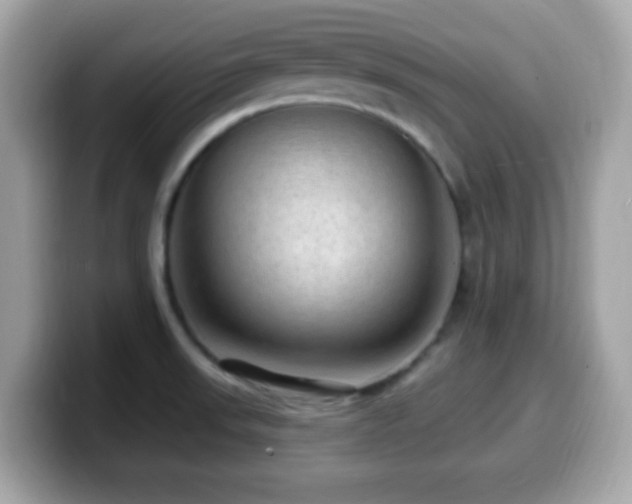 X0000099951523200805231311
