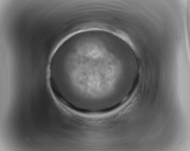 X0000099951524200805231311