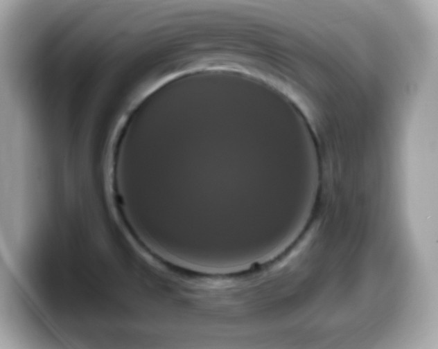 X0000099951525200805231311