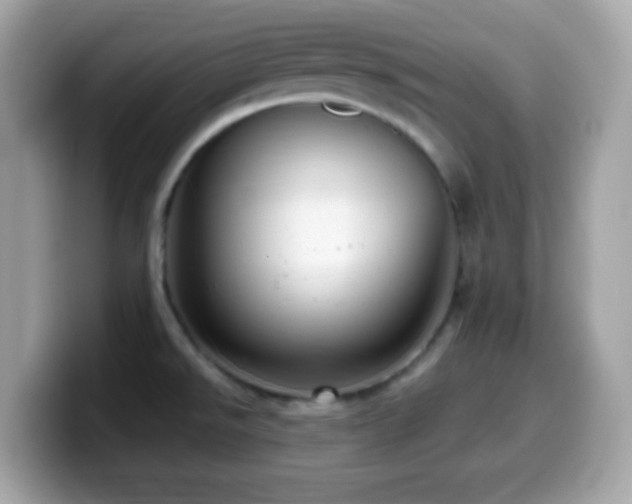 X0000099951526200805231311