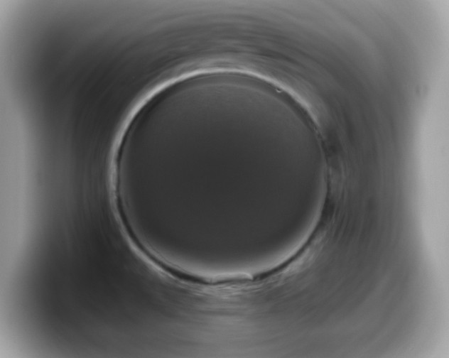 X0000099951527200805231311