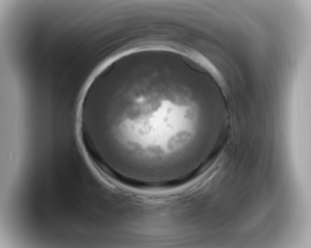 X0000099951528200805231311