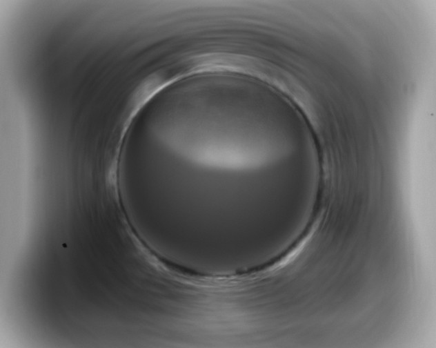 X0000099951529200805231311