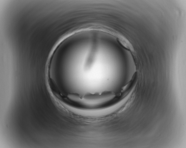 X0000099951530200805231311