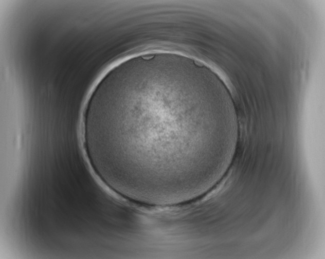 X0000099951531200805231311