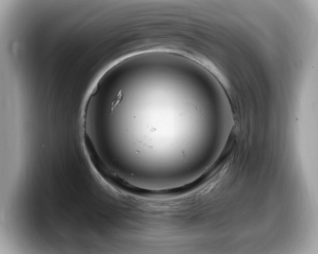 X0000099951532200805231311