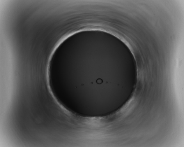 X0000099951533200805231311