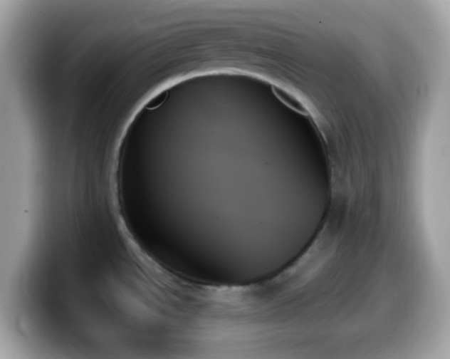 X0000099951534200805231311