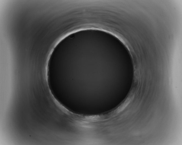 X0000099951535200805231311