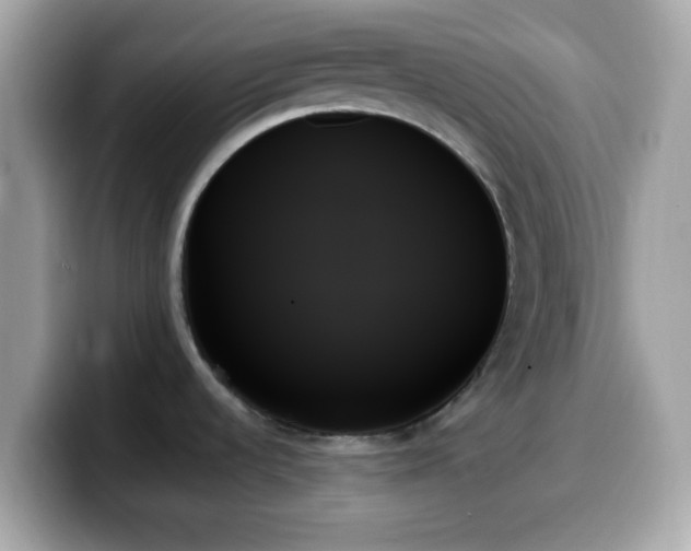 X0000099951536200805231311