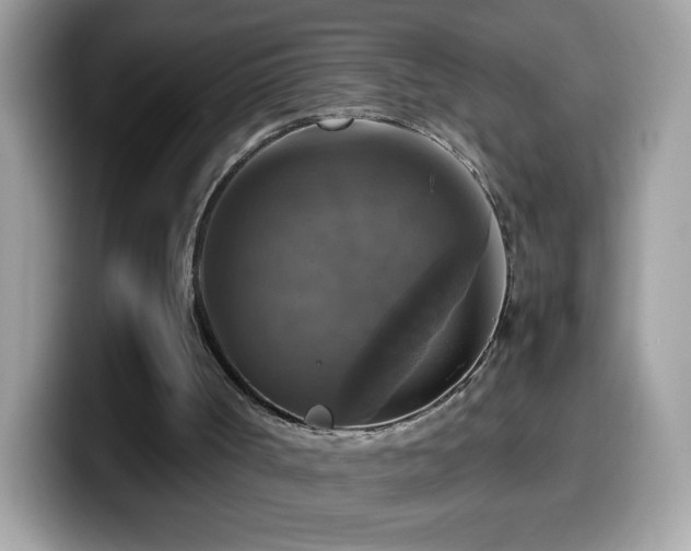 X0000099950002200805301245