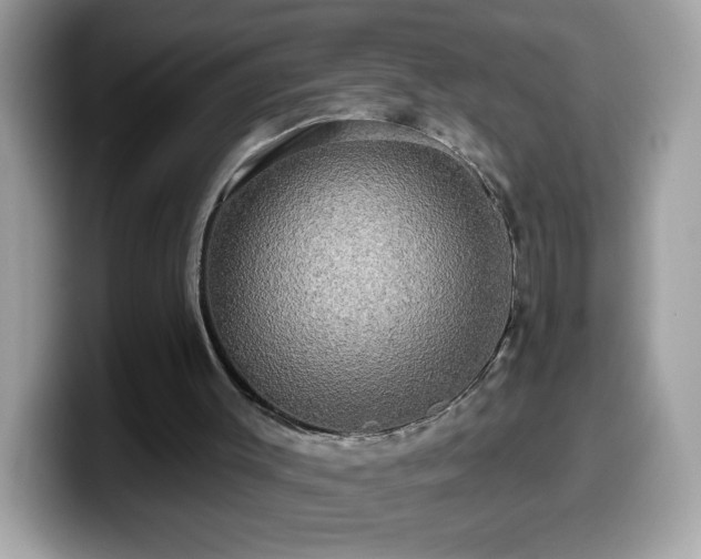 X0000099950003200805301245