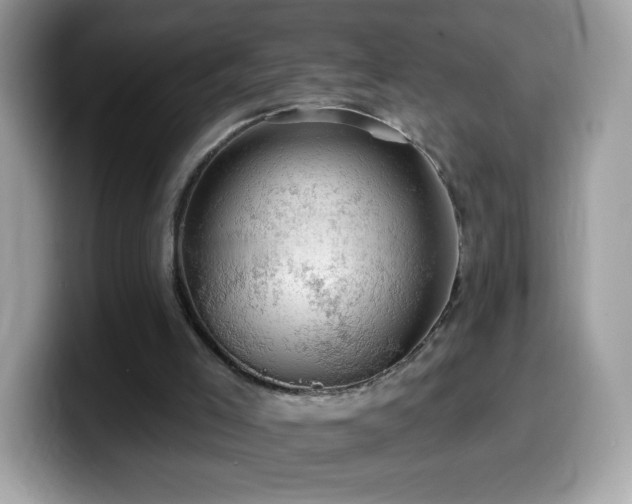 X0000099950005200805301245