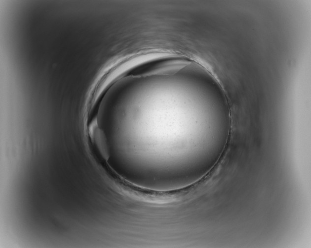 X0000099950008200805301245