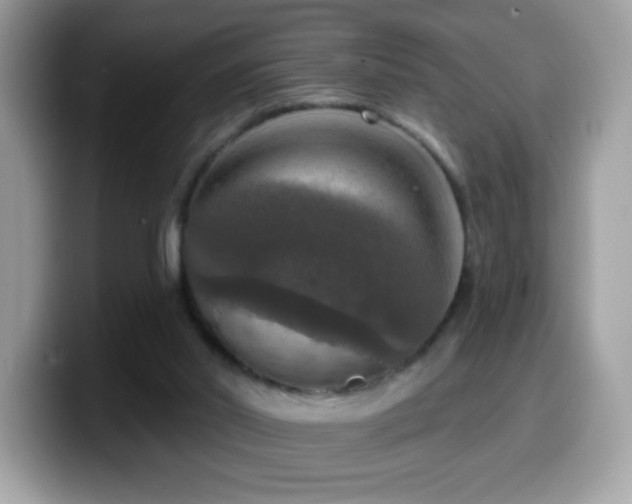X0000099950014200805301245