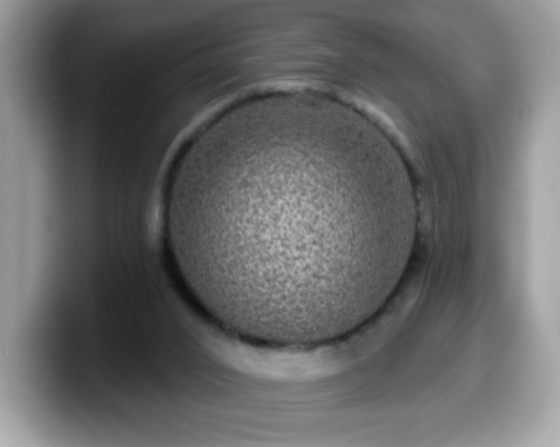 X0000099950016200805301244