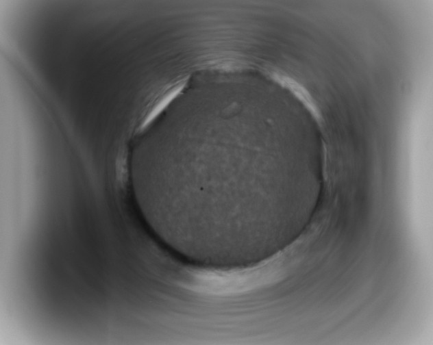 X0000099950017200805301244