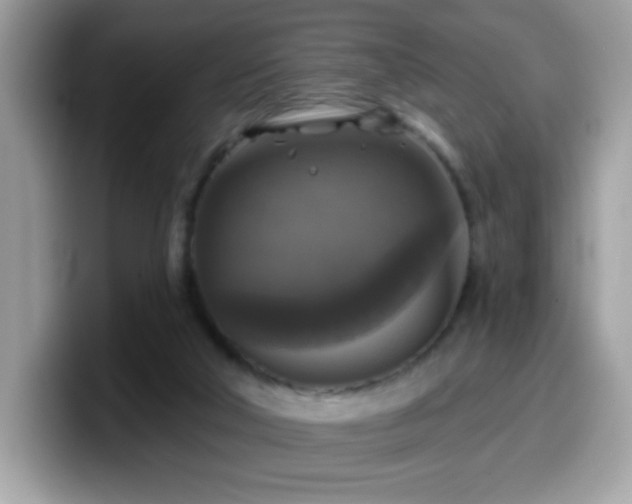 X0000099950018200805301244