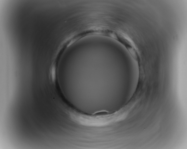 X0000099950019200805301244