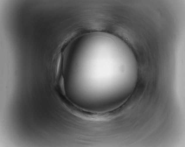 X0000099950020200805301244