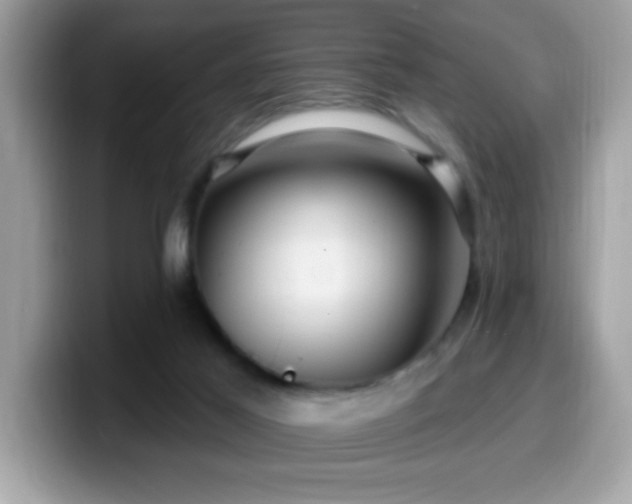 X0000099950021200805301244