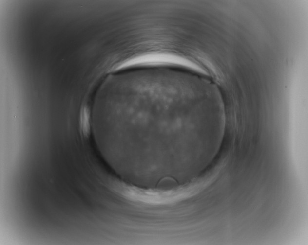 X0000099950022200805301244