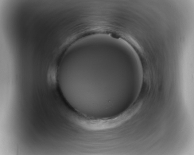 X0000099950023200805301244