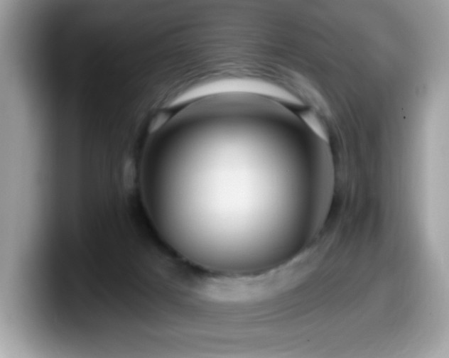 X0000099950025200805301244