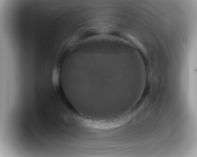 X0000099950026200805301244