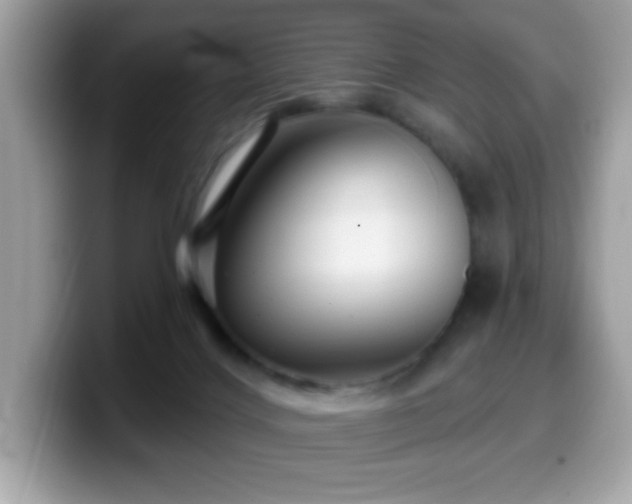 X0000099950028200805301244