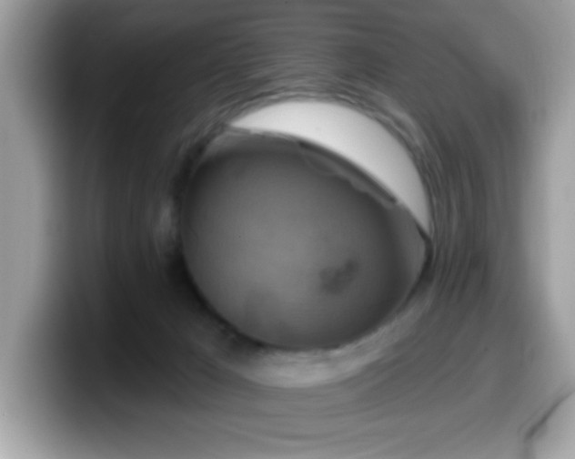 X0000099950029200805301244