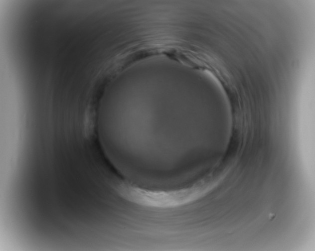 X0000099950030200805301244