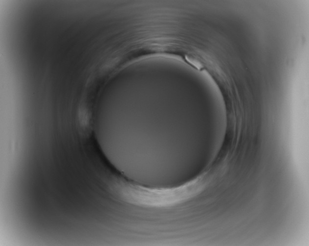 X0000099950031200805301244