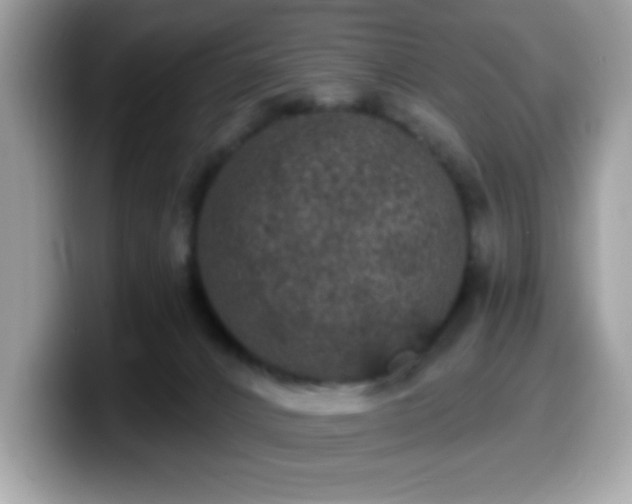 X0000099950032200805301244
