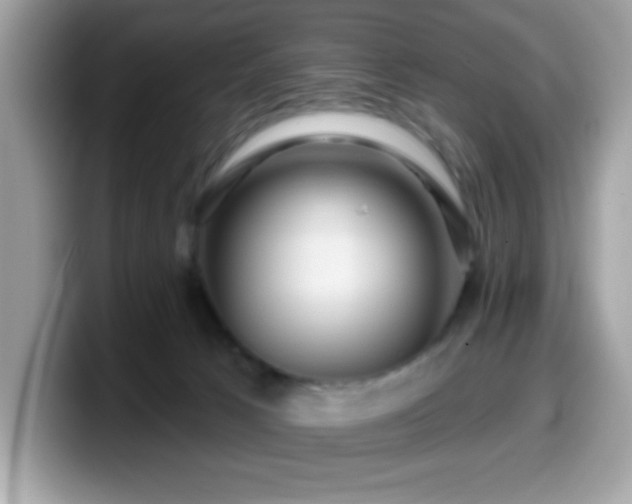 X0000099950033200805301244