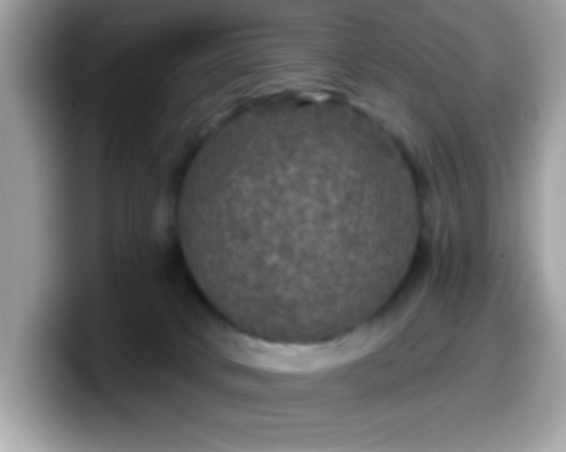 X0000099950034200805301244