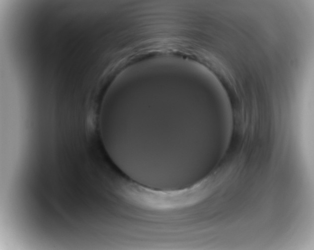 X0000099950035200805301244