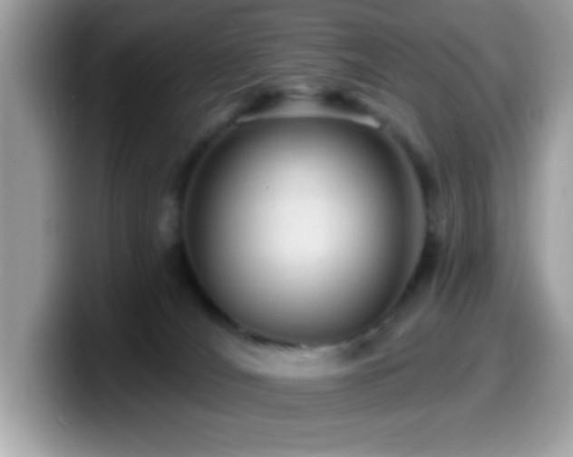 X0000099950036200805301244