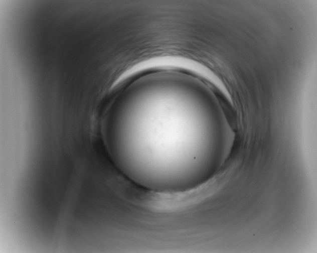 X0000099950037200805301244