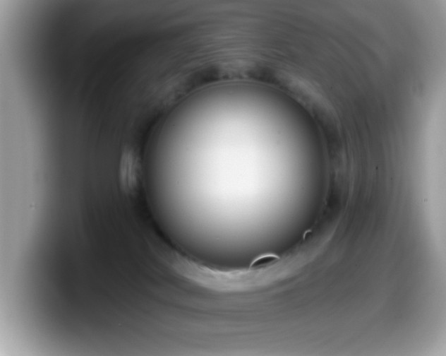X0000099950038200805301244